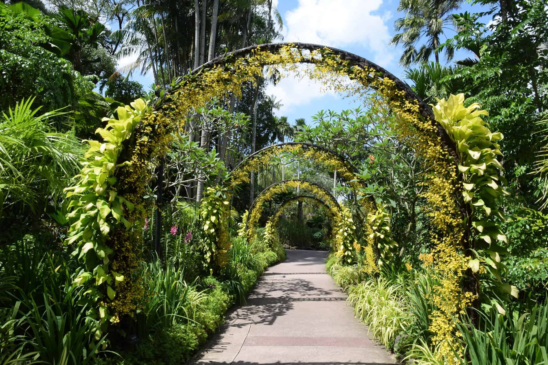 Singapore Botanical Garden Archway